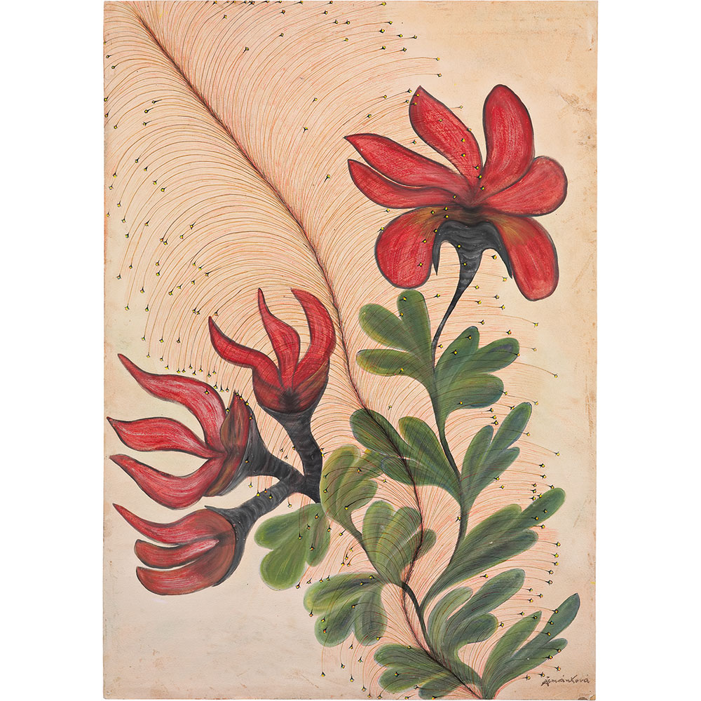 HANNAH RIEGER LIVING IN ART BRUT Anna Zemánková